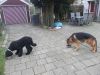 Filename=dscn6538.jpg
Filesize=123KB
Dimensions=550x413
Date added=Jan 02, 2015 dscn6538.jpg