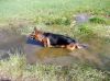 Filename=dscn9140.jpg
Filesize=61KB
Dimensions=550x412
Date added=Jul 09, 2016 dscn9140.jpg