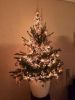 Filename=foto~0.jpg
Filesize=71KB
Dimensions=550x733
Date added=Dec 14, 2013 foto~0.jpg