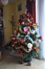 Filename=frank-103~1.jpg
Filesize=82KB
Dimensions=550x828
Date added=Jan 08, 2016 frank-103~1.jpg
