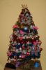 Filename=frank_103~0.jpg
Filesize=134KB
Dimensions=532x800
Date added=Dec 21, 2010 frank_103~0.jpg
