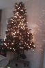 Filename=gisella_1~0.jpg
Filesize=83KB
Dimensions=550x825
Date added=Jan 25, 2012 gisella_1~0.jpg