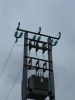 Bestandsnaam : grevels02.jpg
Bestandsgrootte : 37KB
Afmetingen : 441x588
Datum toegevoegd : 22 mrt 2009 grevels02.jpg