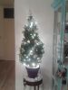 Filename=hkh.jpg
Filesize=68KB
Dimensions=550x733
Date added=Feb 02, 2013 hkh.jpg