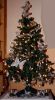 Filename=image001_carla~0.jpg
Filesize=123KB
Dimensions=550x994
Date added=Dec 22, 2010 image001_carla~0.jpg