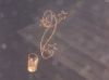 Filename=image009~1.jpg
Filesize=79KB
Dimensions=550x412
Date added=Oct 26, 2013 image009~1.jpg