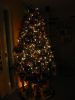 Filename=img_0037linda~0.jpg
Filesize=55KB
Dimensions=550x733
Date added=Dec 21, 2010 img_0037linda~0.jpg
