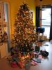 Filename=img_0158linda~1.jpg
Filesize=92KB
Dimensions=550x733
Date added=Dec 12, 2010 img_0158linda~1.jpg