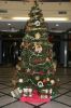 img_0871_650p-kerstboom-hotel-yaramar-voor-renesmurf.jpg