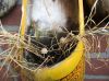 Filename=img_1103.jpg
Filesize=57KB
Dimensions=550x412
Date added=Oct 27, 2018 img_1103.jpg