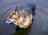 Filename=img_1176.jpg
Filesize=38KB
Dimensions=550x412
Date added=Dec 01, 2018 img_1176.jpg