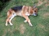 Filename=img_1199.jpg
Filesize=79KB
Dimensions=550x412
Date added=Dec 01, 2018 img_1199.jpg