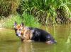 Filename=img_1223.jpg
Filesize=72KB
Dimensions=550x412
Date added=Oct 27, 2018 img_1223.jpg