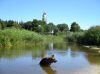 Filename=img_1228.jpg
Filesize=41KB
Dimensions=550x412
Date added=Oct 27, 2018 img_1228.jpg