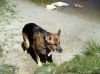 Filename=img_1229.jpg
Filesize=58KB
Dimensions=550x412
Date added=Oct 27, 2018 img_1229.jpg