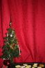 Filename=img_1257terrebel~0.jpg
Filesize=106KB
Dimensions=550x825
Date added=Dec 22, 2010 img_1257terrebel~0.jpg
