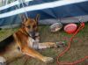 Filename=img_1790.jpg
Filesize=51KB
Dimensions=550x412
Date added=Dec 01, 2018 img_1790.jpg