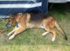Filename=img_1815.jpg
Filesize=58KB
Dimensions=550x412
Date added=Feb 02, 2019 img_1815.jpg