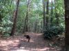 Filename=img_1817quaameland.jpg
Filesize=74KB
Dimensions=550x412
Date added=Feb 02, 2019 img_1817quaameland.jpg