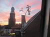 Filename=img_2202.jpg
Filesize=27KB
Dimensions=550x412
Date added=Feb 02, 2019 img_2202.jpg
