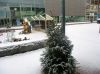 Filename=img_2465.jpg
Filesize=45KB
Dimensions=550x412
Date added=Jan 18, 2020 img_2465.jpg
