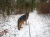 Filename=img_2483.jpg
Filesize=60KB
Dimensions=550x412
Date added=Dec 24, 2019 img_2483.jpg