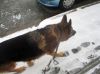 Filename=img_2487.jpg
Filesize=32KB
Dimensions=550x412
Date added=Dec 24, 2019 img_2487.jpg