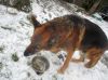 Filename=img_2489.jpg
Filesize=50KB
Dimensions=550x412
Date added=Dec 28, 2019 img_2489.jpg