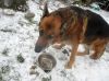 Filename=img_2490.jpg
Filesize=51KB
Dimensions=550x412
Date added=Dec 13, 2019 img_2490.jpg