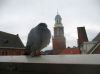 Filename=img_2876.jpg
Filesize=20KB
Dimensions=550x412
Date added=Dec 24, 2019 img_2876.jpg