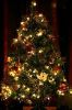 Filename=img_6470neneh~0.jpg
Filesize=111KB
Dimensions=550x833
Date added=Dec 22, 2010 img_6470neneh~0.jpg
