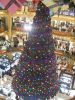 Filename=img_7807.jpg
Filesize=221KB
Dimensions=550x733
Date added=Dec 23, 2010 img_7807.jpg