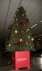 Filename=img_8211a_550pixels.jpg
Filesize=399KB
Dimensions=550x902
Date added=Dec 31, 2014 img_8211a_550pixels.jpg