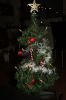 Filename=kerstboom-am-img_2994.jpg
Filesize=96KB
Dimensions=550x825
Date added=Jan 06, 2013 kerstboom-am-img_2994.jpg