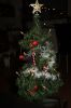 kerstboom-am-img_2994.jpg