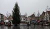 kerstboom-goes.jpg