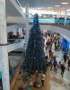 Filename=kerstboom-in-shoppingcenter-miramar-in-fuengirola_s.jpg
Filesize=147KB
Dimensions=550x704
Date added=Dec 07, 2014 kerstboom-in-shoppingcenter-miramar-in-fuengirola_s.jpg