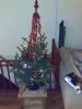 Filename=kerstboom2008egbert~0.jpg
Filesize=74KB
Dimensions=550x733
Date added=Dec 21, 2010 kerstboom2008egbert~0.jpg