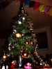 kerstboom2008terrebel~0.jpg