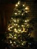 Filename=kerstboom_chantaliaans.jpg
Filesize=114KB
Dimensions=550x733
Date added=Dec 23, 2010 kerstboom_chantaliaans.jpg