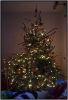 Filename=kerstboompaola~0.jpg
Filesize=62KB
Dimensions=389x572
Date added=Dec 19, 2010 kerstboompaola~0.jpg