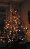 Filename=kerstboomrene~1.jpg
Filesize=185KB
Dimensions=500x813
Date added=Dec 12, 2010 kerstboomrene~1.jpg