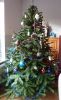 Filename=kerstboom~1.jpg
Filesize=184KB
Dimensions=550x899
Date added=Dec 23, 2014 kerstboom~1.jpg