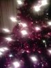 Filename=korrie.jpg
Filesize=78KB
Dimensions=550x733
Date added=Feb 02, 2013 korrie.jpg
