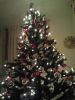 Filename=lisanne.jpg
Filesize=80KB
Dimensions=550x733
Date added=Dec 29, 2011 lisanne.jpg