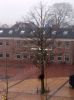 Filename=marktplein.jpg
Filesize=41KB
Dimensions=412x550
Date added=Jan 02, 2017 marktplein.jpg