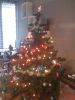 Filename=nigel.jpg
Filesize=88KB
Dimensions=550x733
Date added=Dec 15, 2011 nigel.jpg