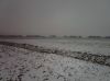 Filename=pict0019aa~1.jpg
Filesize=28KB
Dimensions=550x412
Date added=Dec 29, 2010 pict0019aa~1.jpg