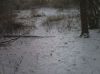 Filename=pict0025550550550~0.jpg
Filesize=36KB
Dimensions=550x412
Date added=Dec 30, 2010 pict0025550550550~0.jpg