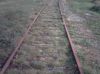 Filename=pict0096~0.jpg
Filesize=49KB
Dimensions=550x412
Date added=Dec 26, 2010 pict0096~0.jpg